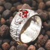 Anillo de la Fortuna con Granate Feng Shui y Diseño Pi Xiu FengShui Garnet Wealth Ring with PiXiu Design