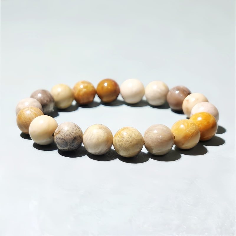 Gelang Kompasi Karang Fosil Fossil Coral Compassion Bracelet