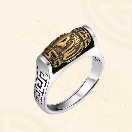 Anillo de Pureza Tibetano Tallado y Giratorio Anillo de Pureza Tibetano Tallado y Giratorio