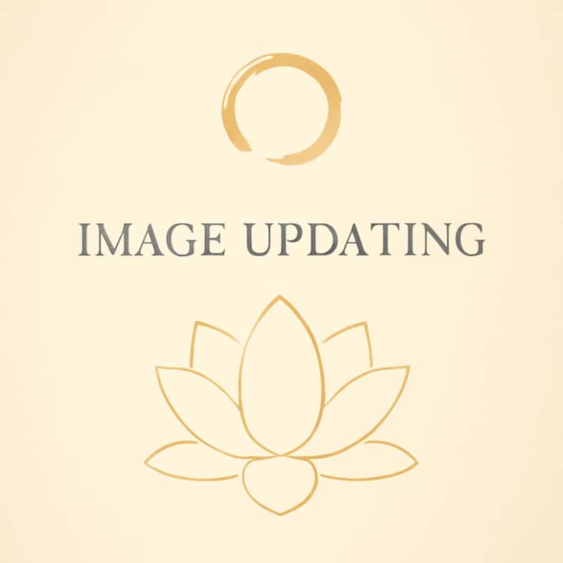 Rueda de Oración Tibetana Om Mani Padme Hum para Colgar en el Auto Rueda de Oración Tibetana Om Mani Padme Hum para Colgar en el Auto