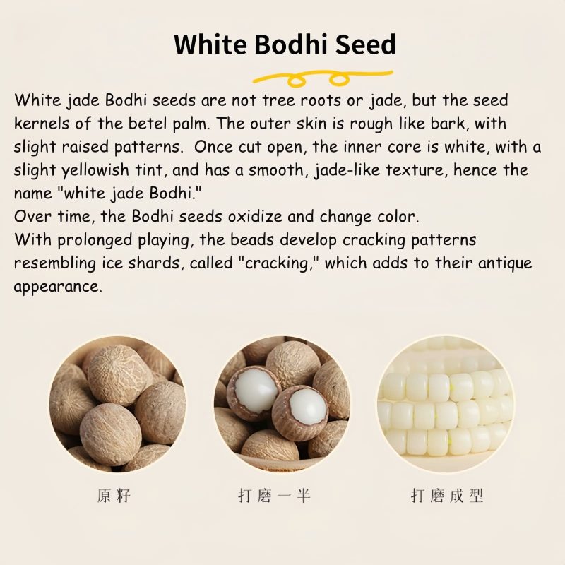Gelang Harmonisasi Cakar Kucing Biji Bodhi Alami Natural Bodhi Seed Cat Paw Harmony Bracelet