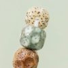 カラフル菩提樹の富のブレスレット Colorful Bodhi Seed Wealth Bracelet