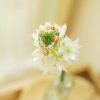 14金メッキ 福禄寿 ピーチムーンストーンリング 14k Gold Plated Fu Lu Shou Peach Moonstone Ring