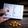 Pulseira de Equilíbrio de Osso de Iaque e Âmbar Mala Tibetana 108 Contas Tibetan 108 Mala Yak Bone Amber Balance Bracelet