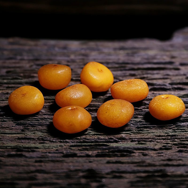 Pulseira de Equilíbrio de Osso de Iaque e Âmbar Mala Tibetana 108 Contas Tibetan 108 Mala Yak Bone Amber Balance Bracelet