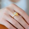 18K金メッキ ピクシー 財運リング(白翡翠&緑翡翠) 18K Gold-plated Pixiu Wealth Ring with White and Green Jade