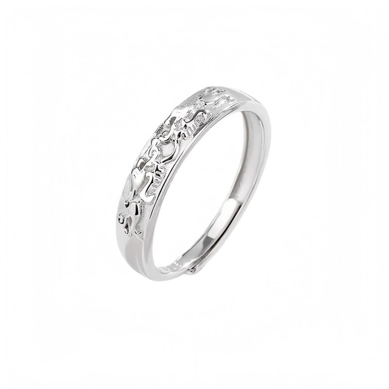 Anillo de Pareja Ajustable Pixiu en Plata 925 925 Silver Adjustable PiXiu Couple Ring