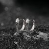 Aretes de Serpiente de Ojo Verde en Plata 925 925 Silver Green-eyed Snake Earrings