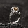 Anillo Ajustable de Pixiu con Moneda de Cobre en Plata 925 925 Silver PiXiu Wealth Adjustable Ring
