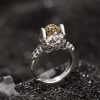 Anillo Ajustable de Pixiu con Moneda de Cobre en Plata 925 925 Silver PiXiu Wealth Adjustable Ring