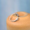 Anillo Serpiente Abierto de Plata 925, Zodiaco Chino 925 Silver Chinese Zodiac Snake Open Ring
