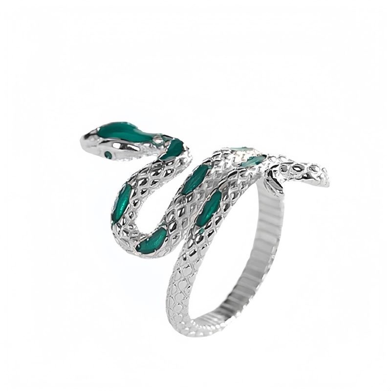 Anillo de Bendición Año de la Serpiente en Plata 925 925 Silver Year of the Snake Blessing Ring
