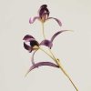 Broche de Orquídea de Seda de Morera Hecha a Mano Handmade Mulberry Silk Orchid Brooch
