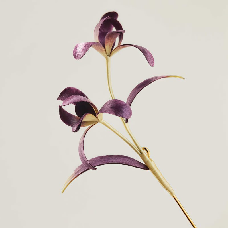 Broche de Orquídea de Seda de Morera Hecha a Mano Handmade Mulberry Silk Orchid Brooch