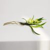Broche y Horquilla de Flores de Seda de Morera Hechas a Mano Handmade Mulberry Silk Flower Brooch & Hairpin