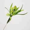 Broche y Horquilla de Flores de Seda de Morera Hechas a Mano Handmade Mulberry Silk Flower Brooch & Hairpin