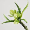 Broche y Horquilla de Flores de Seda de Morera Hechas a Mano Handmade Mulberry Silk Flower Brooch & Hairpin