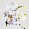Broche de Iris Blanco en Seda de Morera Mulberry Silk White Iris Brooch