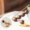 Broche Curativa Vintage de Sándalo Vintage Sandalwood Healing Brooch