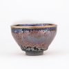 Taza de Té Jianzhan Tenmoku China con Diseño de Suculenta Chinese Jianzhan Tenmoku Teacup with Succulent Design