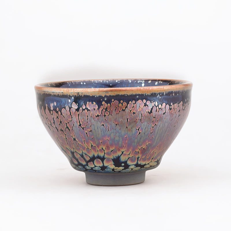 Taza de Té Jianzhan Tenmoku China con Diseño de Suculenta Chinese Jianzhan Tenmoku Teacup with Succulent Design