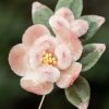 Broche de Flor de Durazno de Seda de Morera Hecha a Mano Handmade Mulberry Silk Peach Blossom Brooch